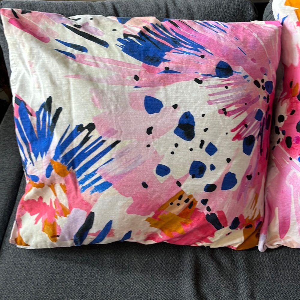 Anthropologie Euro Sham Set of 2